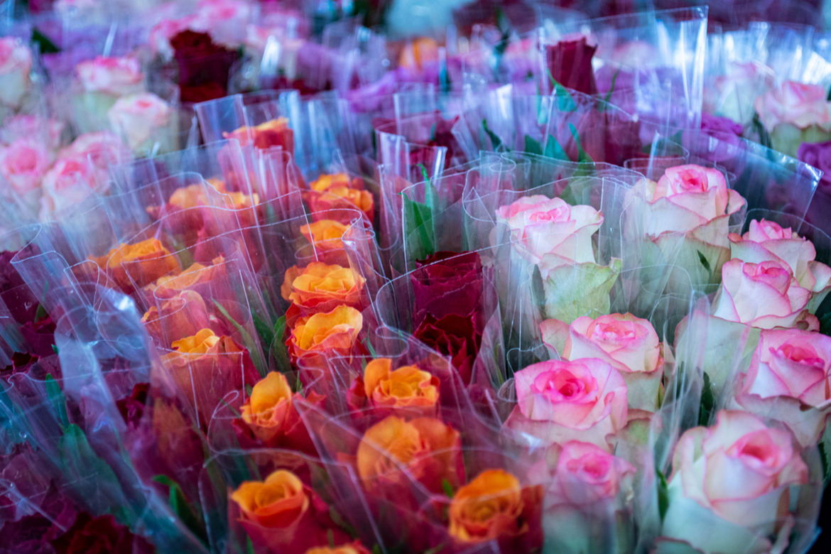 Le réseau Alezan fête les mamans...