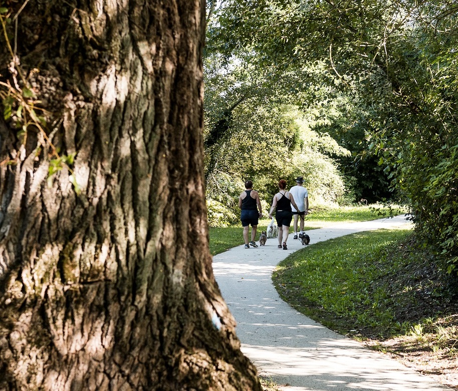 Des travaux de revêtement sur le CaminAdour