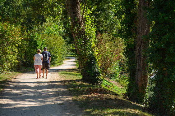 Réfection du revêtement en Stabex du CaminAdour