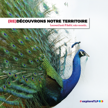 (RE)DÉCOUVRONS NOTRE TERRITOIRE