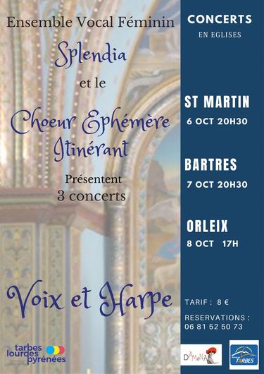 Chœur éphémère itinérant - Ensemble Vocal Damona