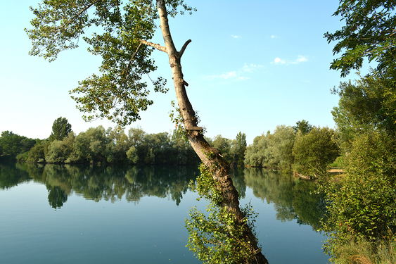 Guide du Riverain pour l'entretien des cours d'eau