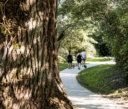 Des travaux de revêtement sur le CaminAdour