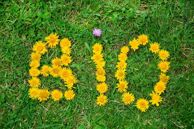 BIO POUR TOUS - Atelier sur les abeilles et le miel