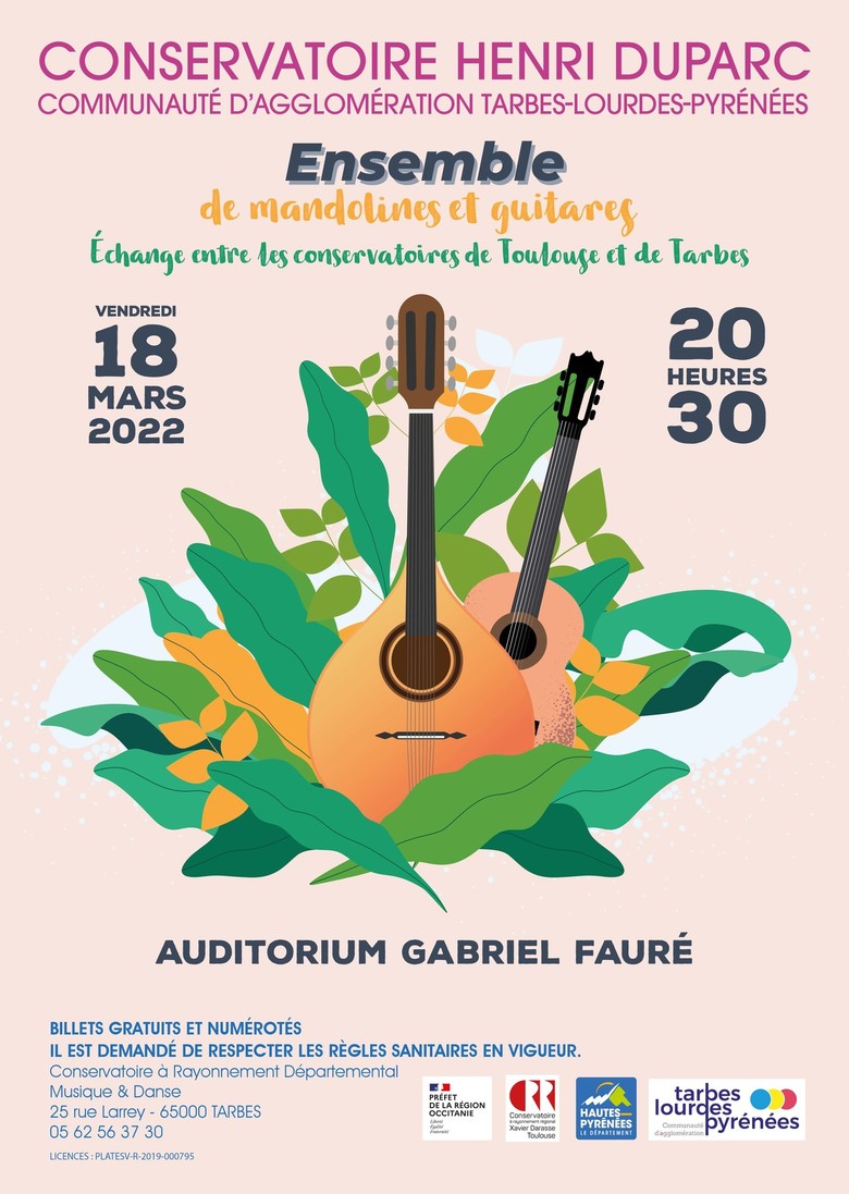 Ensemble de mandolines et guitares