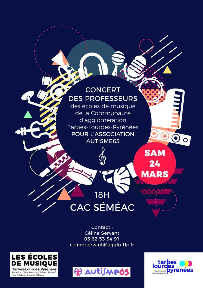 Concert professeur écoles de musique pour l'association Autisme65