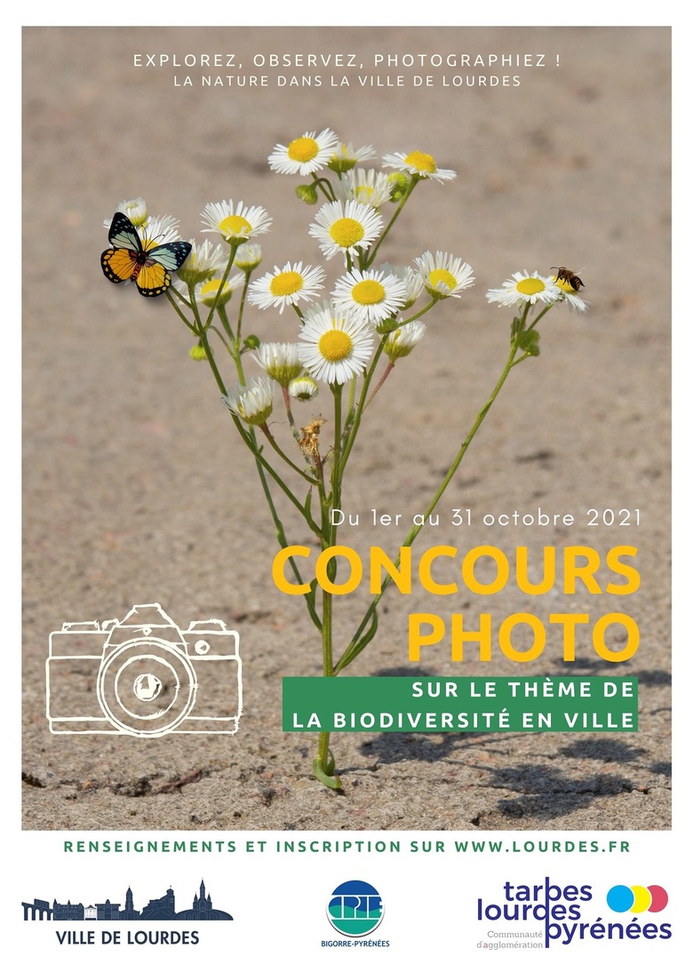 Concours photo  