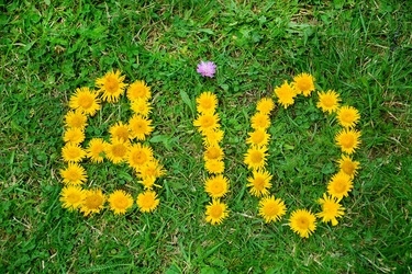 BIO POUR TOUS - Atelier sur les abeilles et le miel