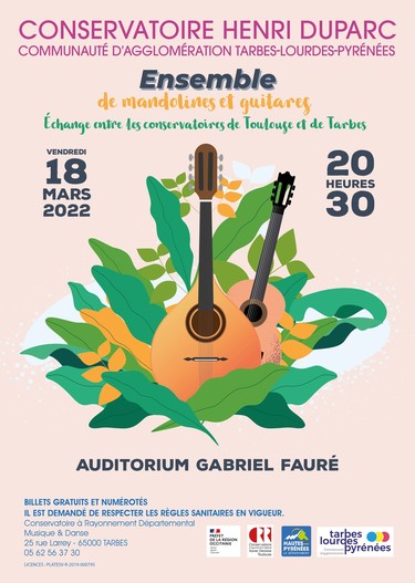 Ensemble de mandolines et guitares