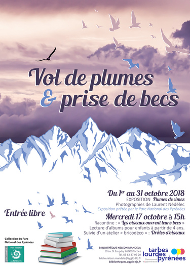 Vol de plumes et prise de becs
