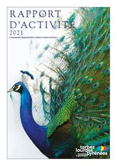 Rapport d'activités 2021